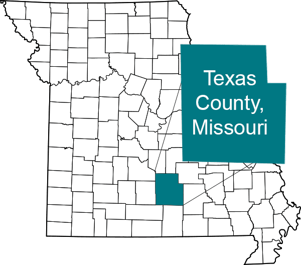 Assessor Texas County, Missouri